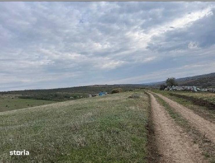 Spațiu comercial, în Perieni