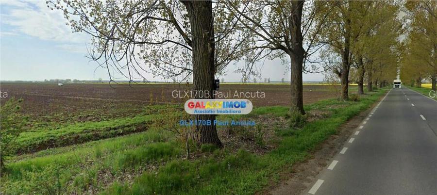 Teren la Drumul Judetean Dascalu Gagu 17800 mp intravilan
