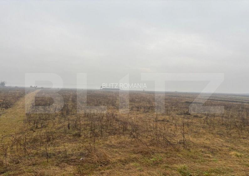 Teren Intravilan, 3000 mp, zona Chintelnic