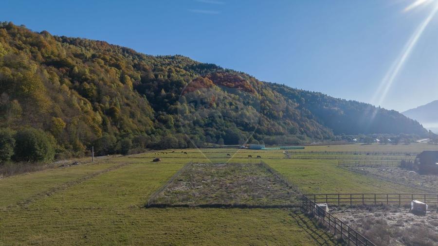 Teren cu priveliste de vis si curent trifazic - Plaiul Foii - 3