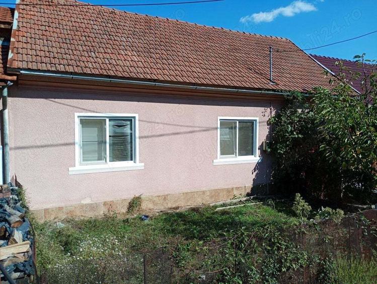 Casa de vanzare sat E?elni?a, in Clisura Dunarii cu vedere par?iala la Dunare - 2