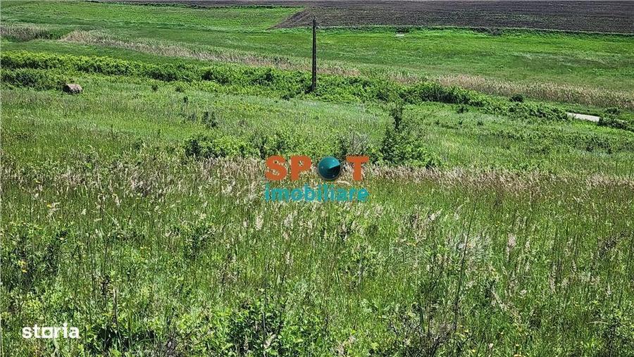Teren extravilan 2.5 ha investitie ideala, sat Visa - 4