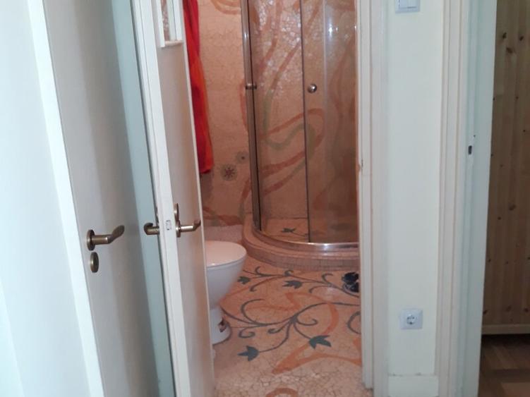 Lacul Tei, Parcul Circului, Lidl, Mega Image, adiacent - 14