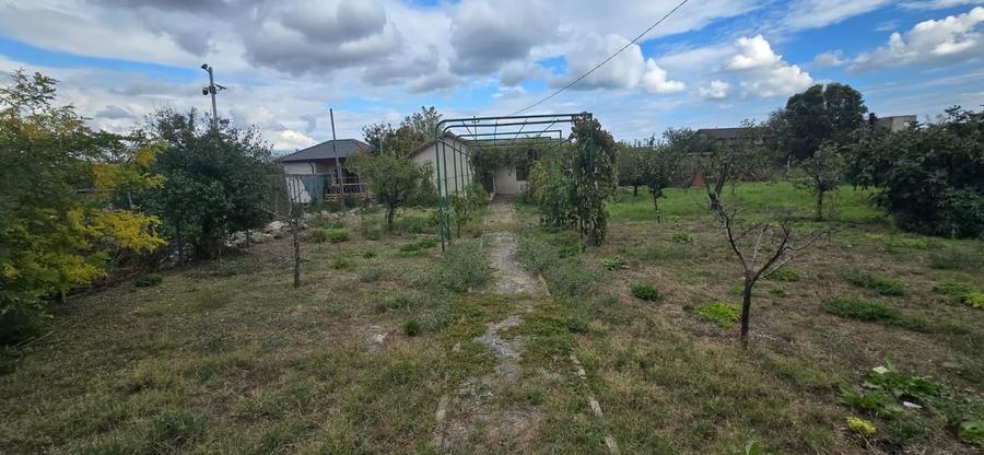 Exclusivitate-Vadu, zona centrala, casa 75mp, teren 1917 mp/31ml deschidere - 7