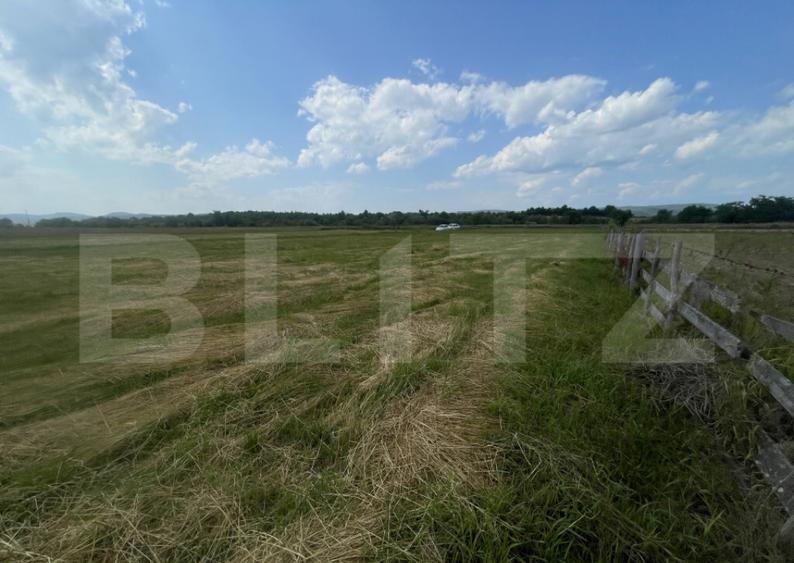 Teren extravilan 1200 mp Dorolea, aproape de Manastire - 6