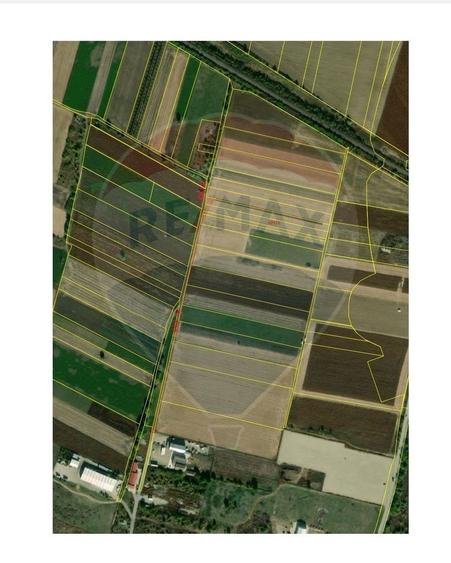 Teren intravilan 3400mp de vanzare la Santion - 5