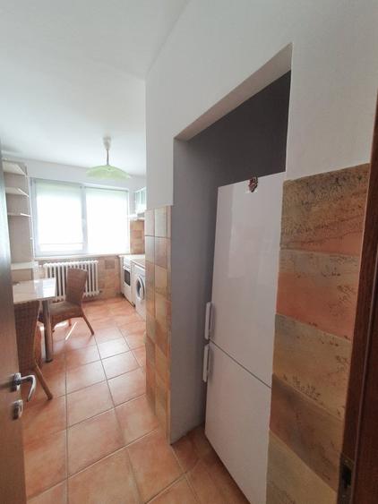 GORJULUI - Metrou vanzare apartament 2 camere - 8