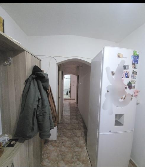 Colentina - Teiul Doamnei - 2