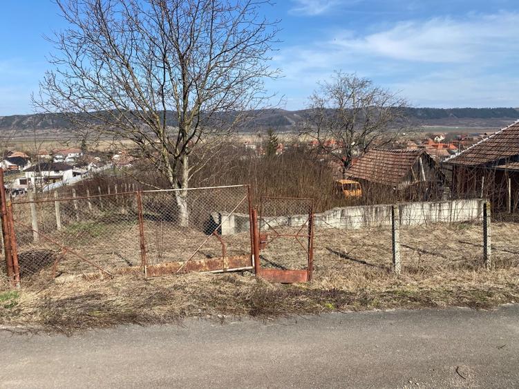 Teren  intravilan  - 1