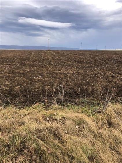 Teren pentru business 6300 MP Bucium la strada principala - 3