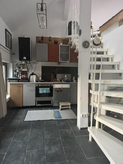 Relaxare in mijlocul padurii in imediata apropiere a municipiului Tg. Mures inchiriez in regim hotelier sau pe termen lung un imobil - 1