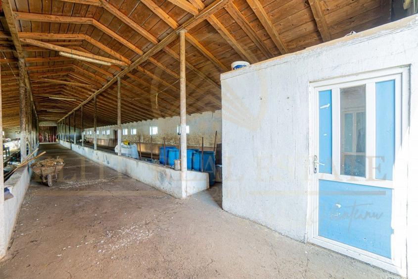 Tariverde - Ferma zootehnica functionala, 3 hectare teren intravilan! - 16