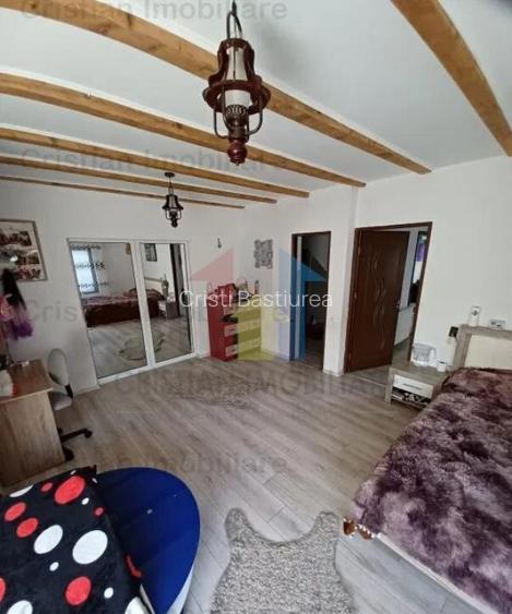 Vila P M 240mp utili si 400mp teren Radu Negru Vila P M 240mp utili si 400mp teren Radu Negru
