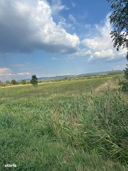 Teren pentru hala, logistica sau parc auto 72 ml la DN, Stuparei-VL - 2