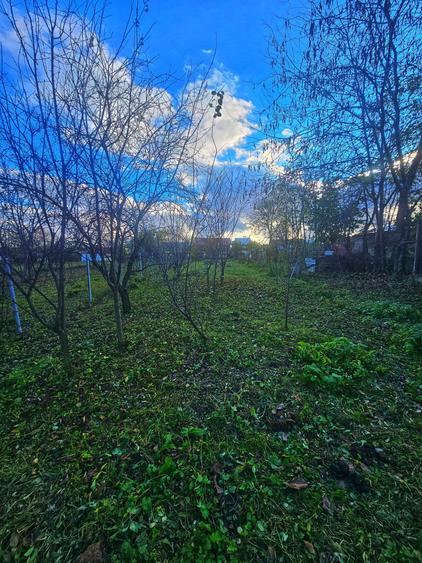 Exclusivitate! Casă cu teren generos în Sat Olteni, Com.Teișani - 13