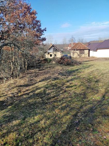 Vand casa in localitatea Iaz - 5