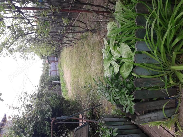 Casa de vanzare Negoiesti - Prahova - 5