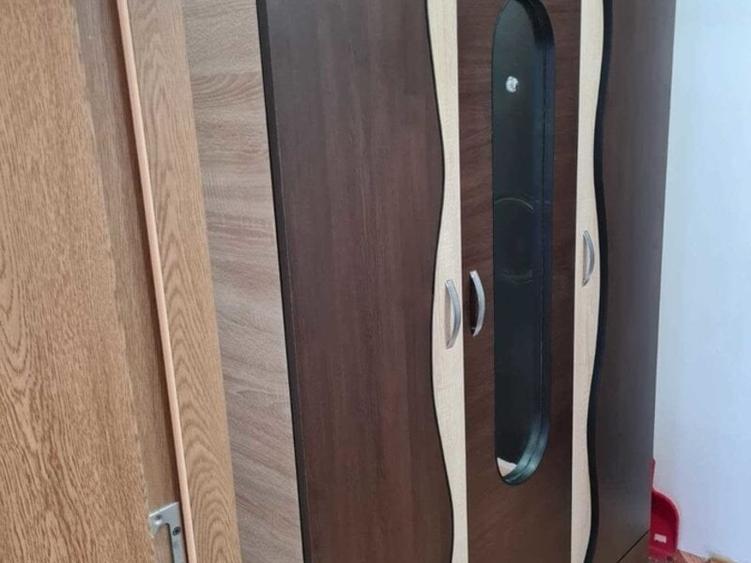 Titan, Theodor Pallady, 1 Decembrie 1918 - 6