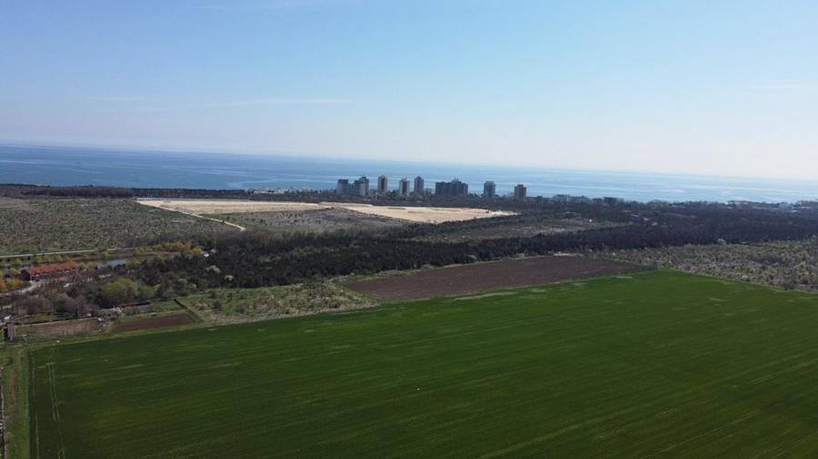 E rândul tău să faci investiții profitabile! Olimp-Padurea Comorova - 14