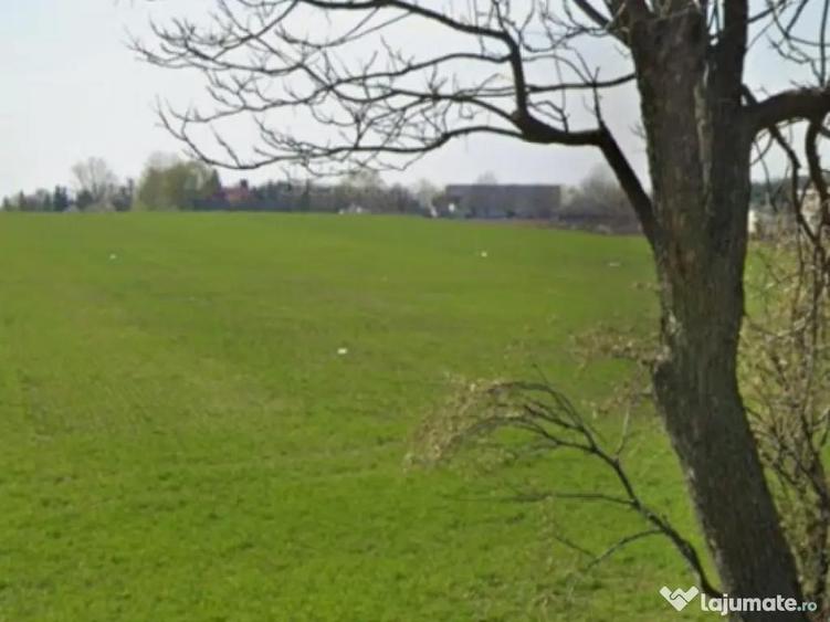 Teren industrial 9.640 mp, Craiova, in spatele Aeroport - 1