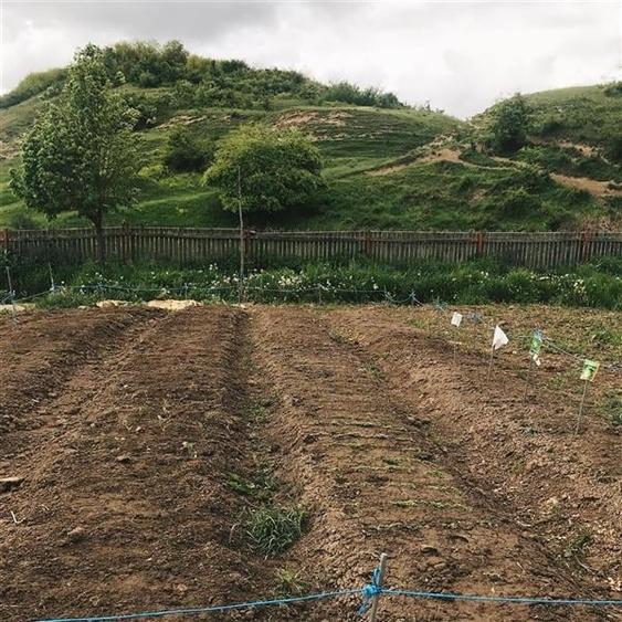 Transilvania Camping, domeniu de 14.400mp, Sanmarghita de Mures:2cladiri, aparta - 47