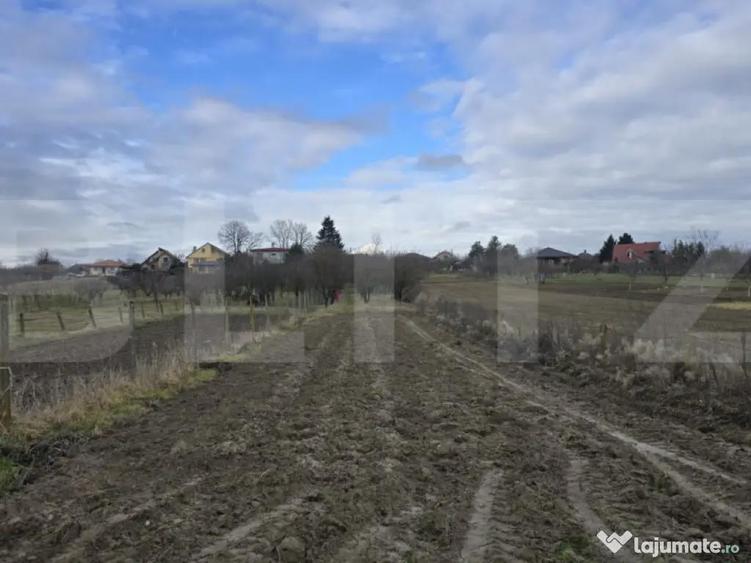 Teren intravilan - livada si vie- 20 ari - Viile SATU MARE - 7