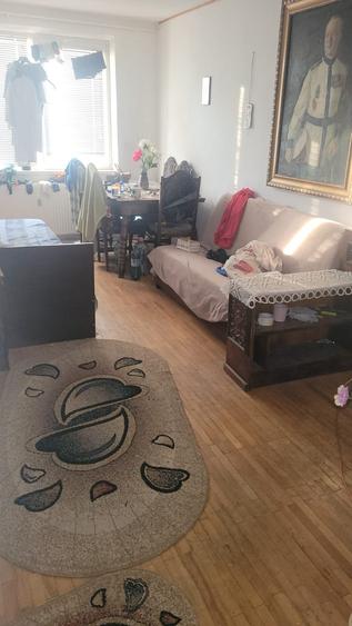 Colentina Teiul Doamnei - 2