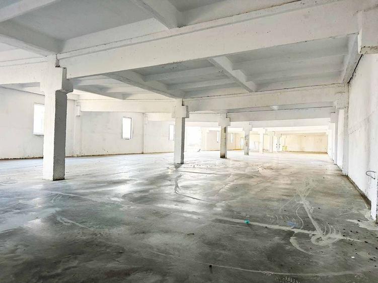 Spațiu industrial, de 250 mp, în Aluniș