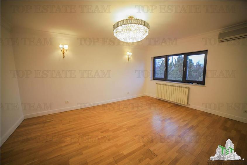 Vila pretabila rezidenta/office Iancu Nicolae - 15