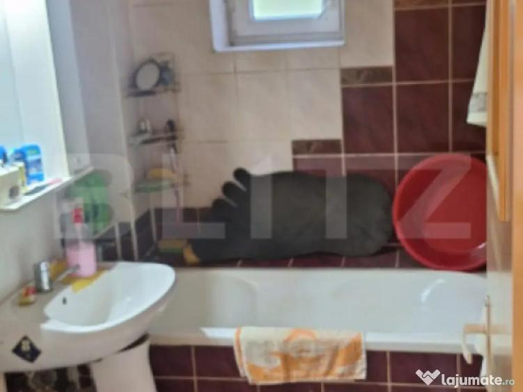 Apartament cu 2 camere, etaj intermediar, Obcini - 2