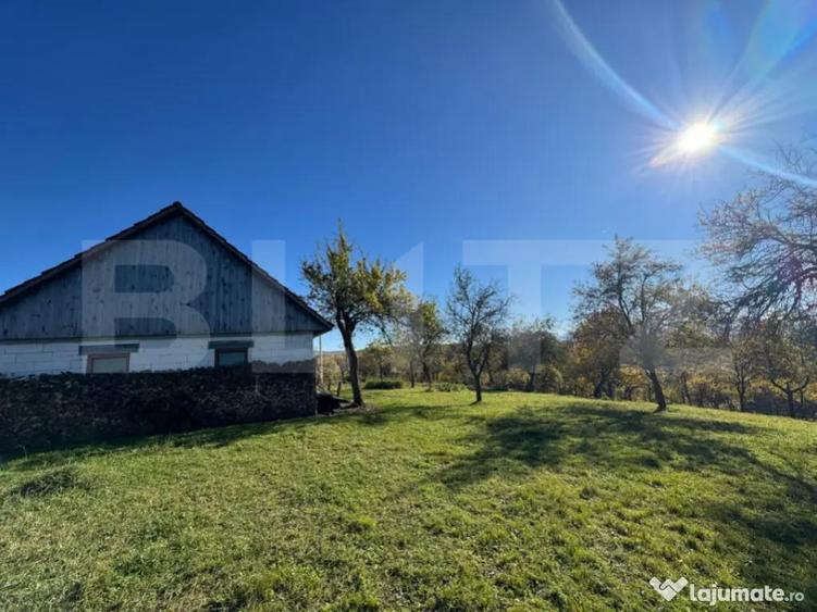 Teren extravilan 2000mp in Tarsa - 4