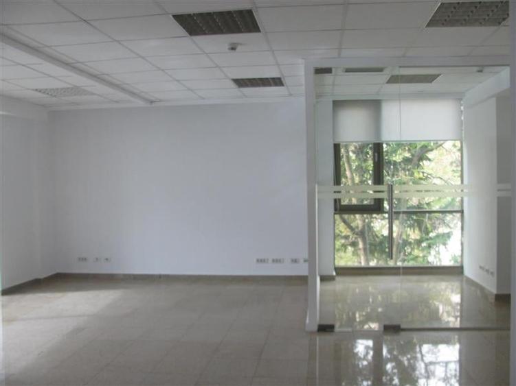 Inchiriere spatii - Louis Blanc Office Building - 19