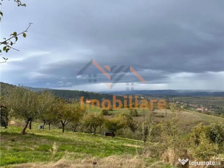 TEREN | 9341 MP | BALNACA GROSI | BIHOR - 6