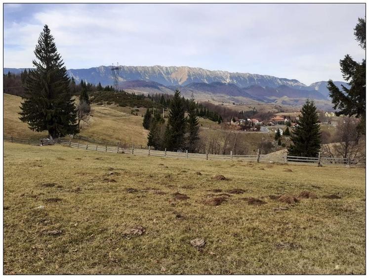 Teren Cu Priveliste Panoramica Si Acces Din Drumul Principal - 6