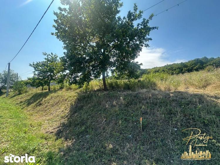 Teren intravilan de 576 mp de vanzare pe drumul DC59 , Haieu - Bihor - 2