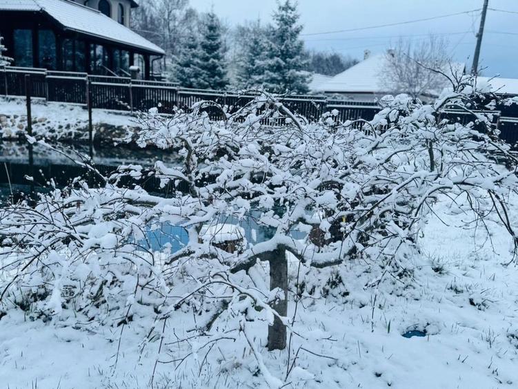 Vila/pensiune/casa Bran panoramica - 7