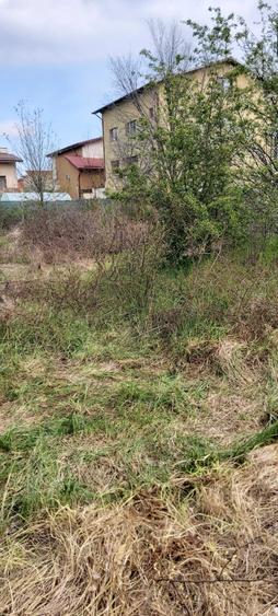 Teren intravilan, 850 mp in str Capricornului, Domnesti, Ilfov - 6