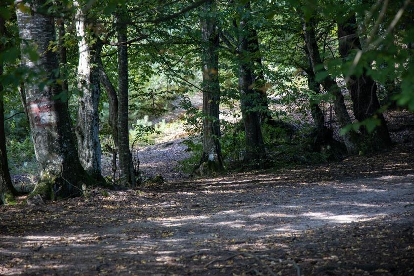 Teren intravilan 3300mp- Vulcan Brasov langa Lac si padure - zona turistica - 14