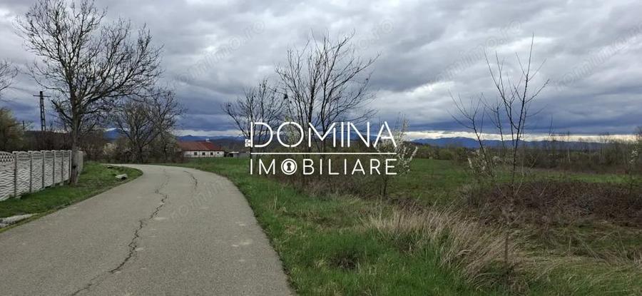 Teren intravilan 20.386 mp in Calnictraversat de rau, 19 km de Tg Jiu - 3