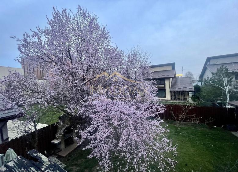 Masterpiece villa*** 6 camere//Independenta energetic//Kaufland Balotesti - 4