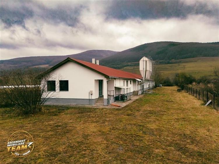 FILM! Ferma de iepuri,Malnas,Covasna: domeniu:comercial/industrial,asset UE - 38