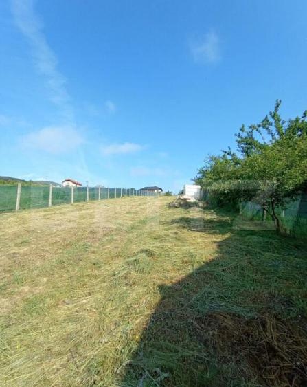 Teren intravilan de vanzare, 1438 mp, strada Iosiv Vulcan - - 5