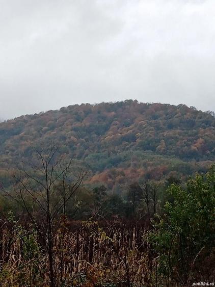 Casa satRostoci com. Plescuta jus. Arad - 2