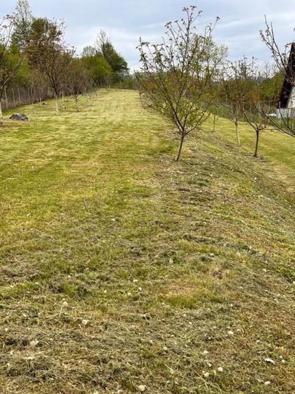 Teren de vanzare zona Valisoara Jud Alba - 6