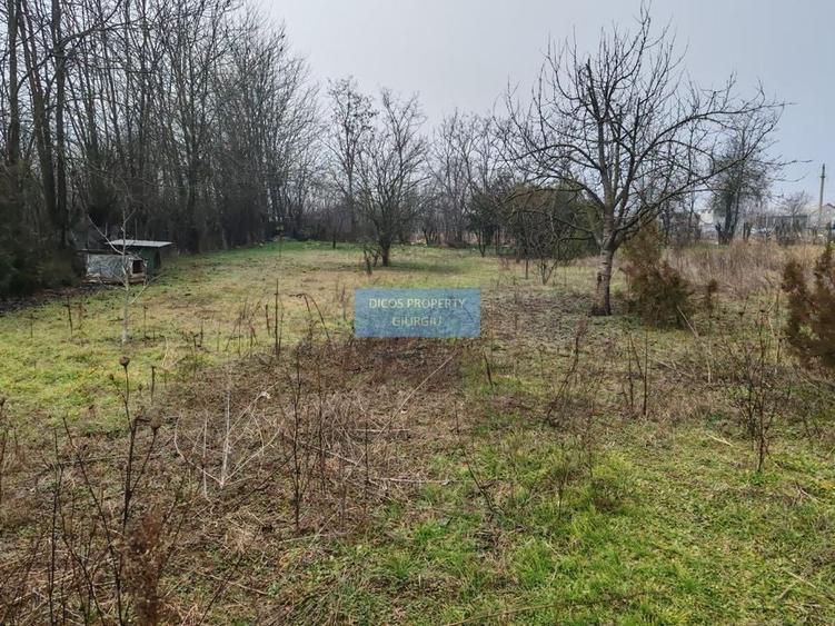 Teren 2.600 mp, utilități, Str. Merișor – Giurgiu - 6