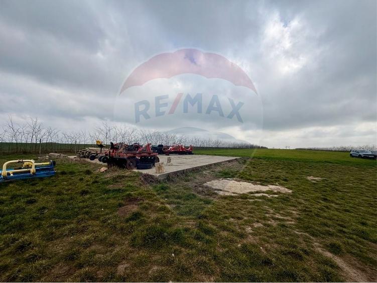 Teren extravilan Săcele ideal pentru silozuri, fermă sau investiție - 7