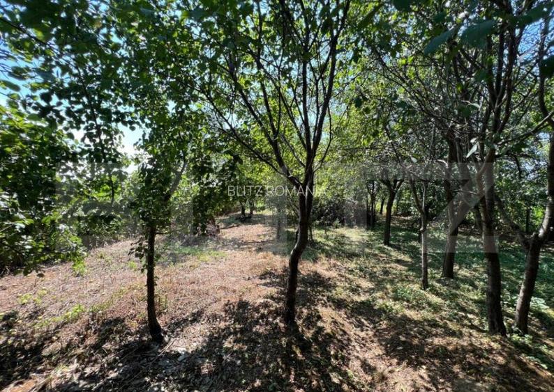 Casa in Pomi cu acoperis nou, Jud. Satu Mare