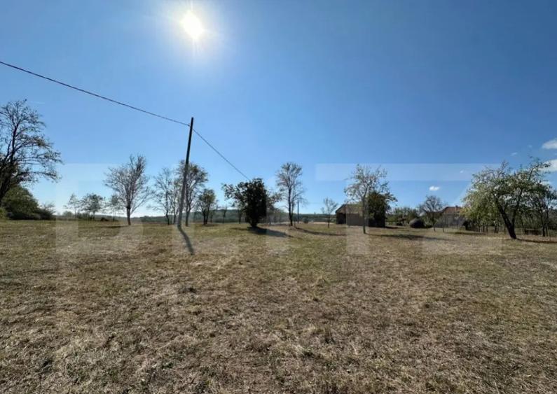 Teren intravilan de vanzare 14000mp,ideal pentru investitie, - 10