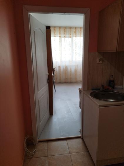 Vand camera de camin transformata in garsoniera - 7