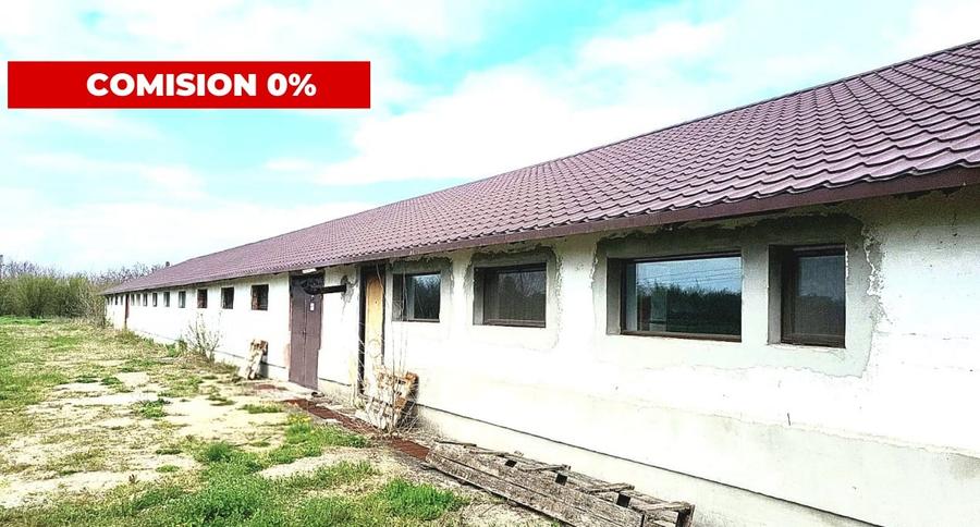 HALĂ INDUSTRIALĂ CU TEREN GENEROS  DE VÂNZARE – DB, CĂTUNU (TVA inclus) - 8